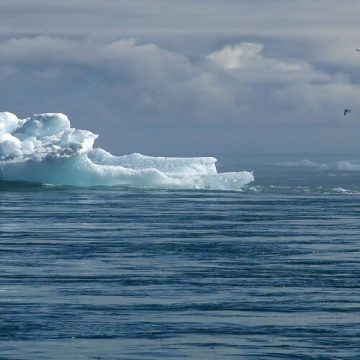 “Alterações climáticas vão potenciar crises virais em todo o mundo”