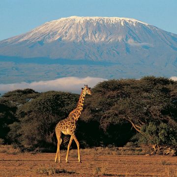 Tanzânia instala internet de alta velocidade no Monte Kilimanjaro