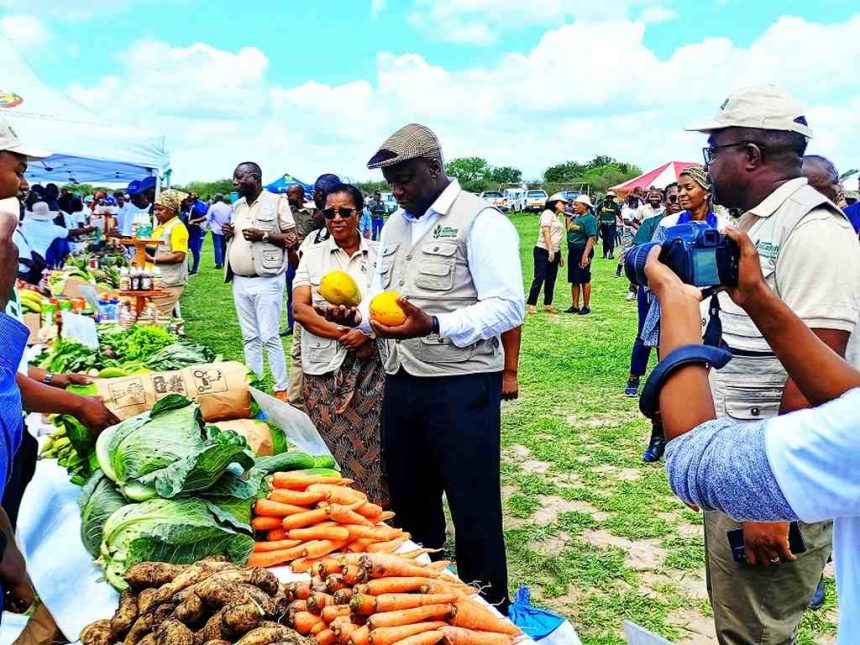 Província de Maputo registou perda de 20 mil hectares de culturas na campanha agrária 2021/22