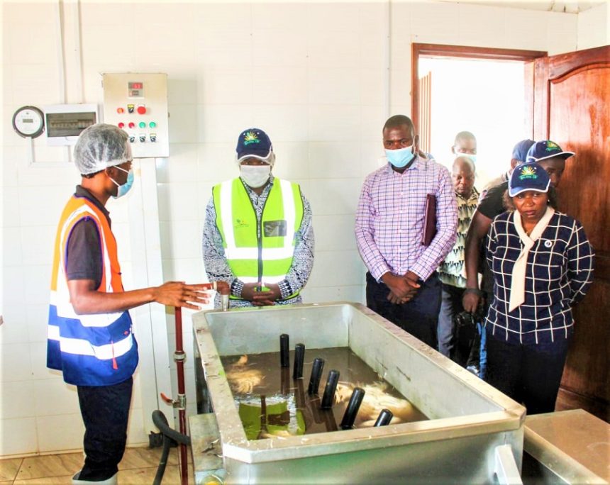 Inaugurada primeira unidade de abate de aves em Cabo Delgado