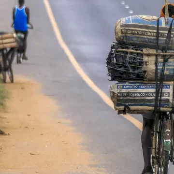 Autoridades investigam redes de contrabando de carvão vegetal para países vizinhos