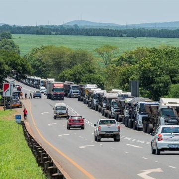 Kruger Park, na África do Sul, opõe-se à criação de posto fronteiriço com Moçambique exclusivo para camiões