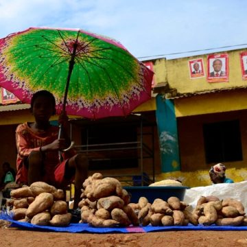 Sofala: Falta de documentos retrai oportunidades a milhares de habitantes em Gorongosa