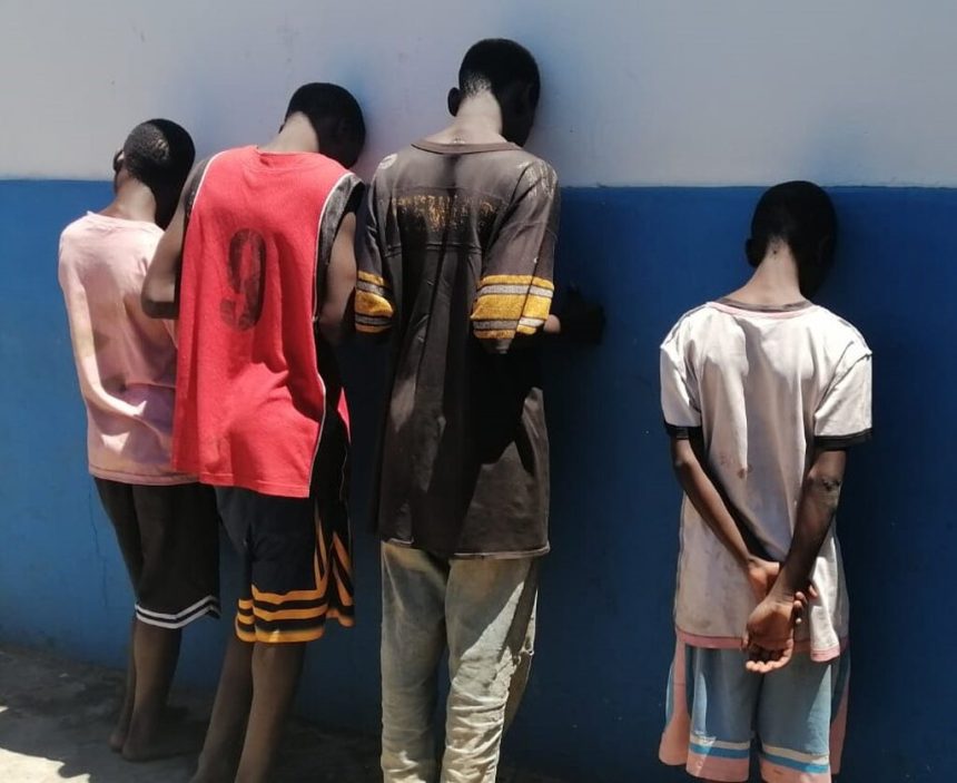 Manica: Menores liderados por “Shorts Hallas” roubam computador na Procuradoria da cidade de Chimoio