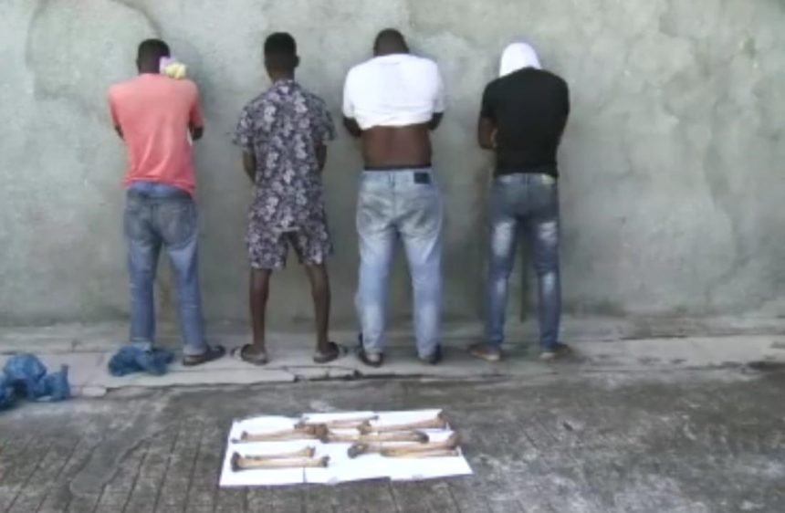 Detidos quatro indivíduos por homicídio e tentativa de venda de ossadas por 15 milhões de meticais