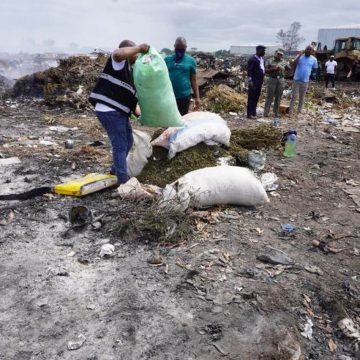 Cabo Delgado: Incinerados 14Kg de drogas