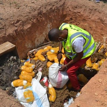 Polícia incinera mais de 46 quilogramas de drogas apreendidas na cidade de Maputo