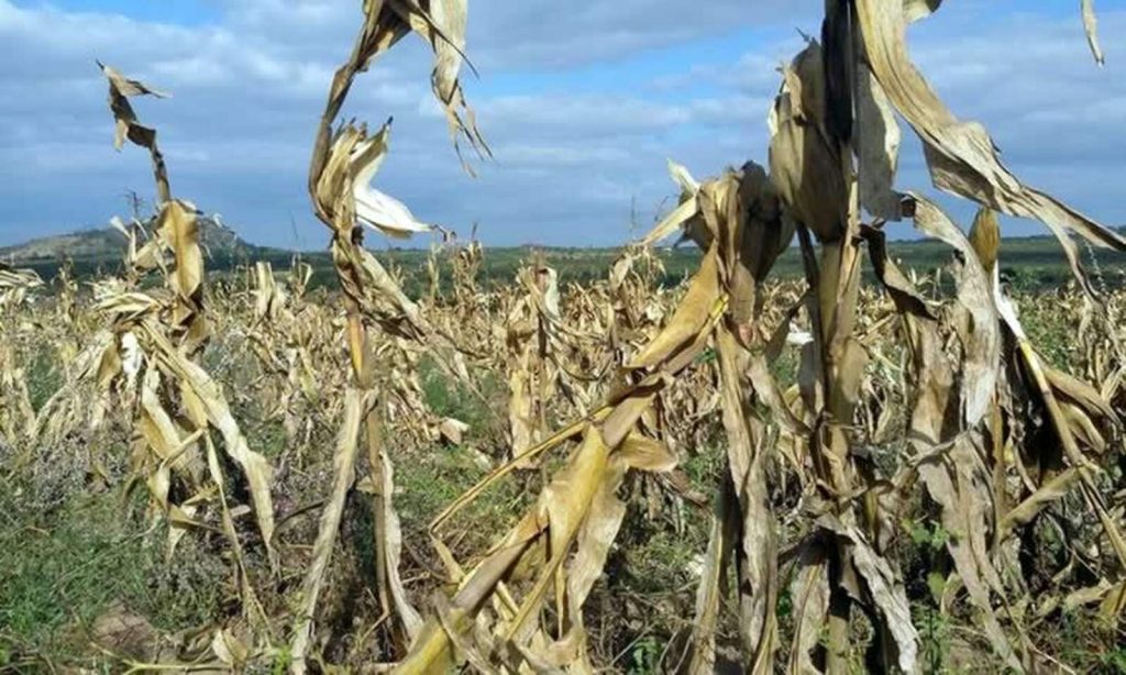 INAM alerta para ocorrência de seca moderada a severa em três