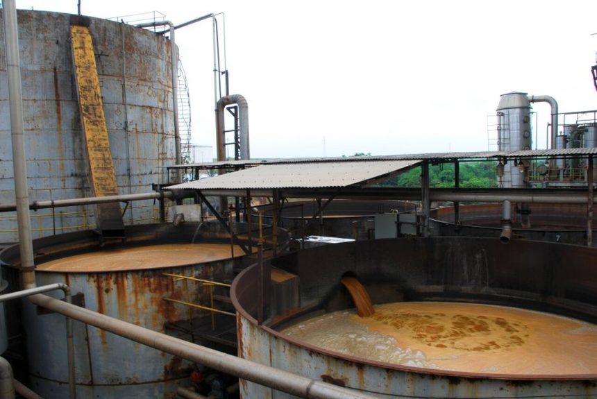 Três cidadãos morreram no interior de tanque de fermentação de bebidas alcoólicas