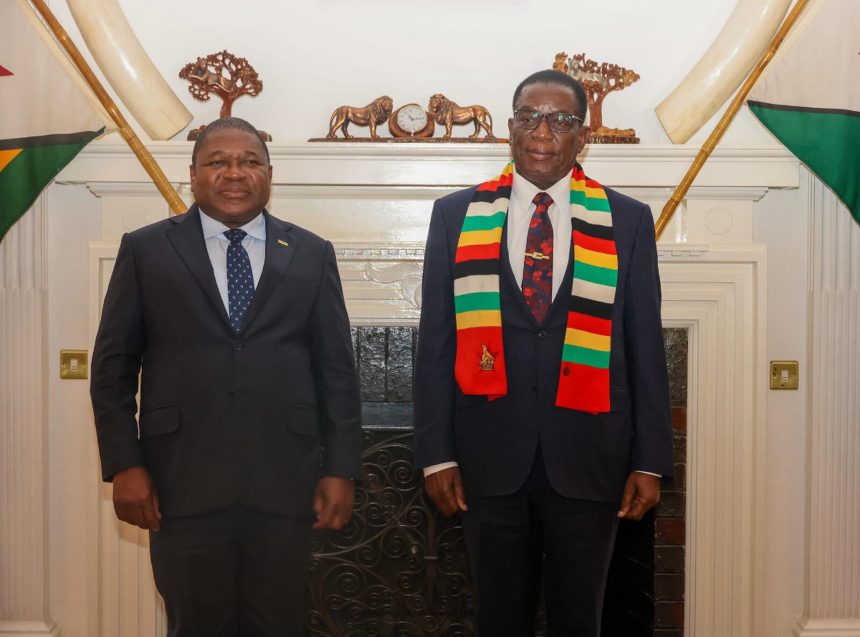 Filipe Nyusi visita Zimbabué a convite do seu homólogo