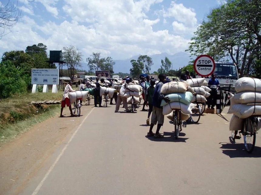 Moçambique e Maláui buscam mecanismos de simplificação do comércio transfronteiriço