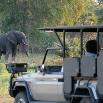 Projecto de Restauração da Gorongosa recebeu da Fundação BBVA o Prémio Mundial para a Conservação da Biodiversidade