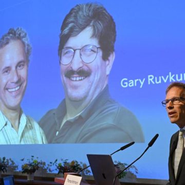 Victor Ambros e Gary Ruvkun recebem Nobel de Medicina