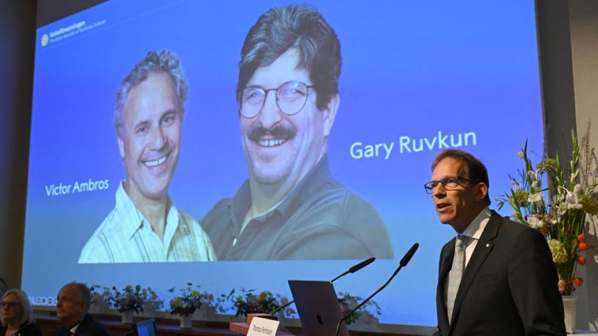 Victor Ambros e Gary Ruvkun recebem Nobel de Medicina