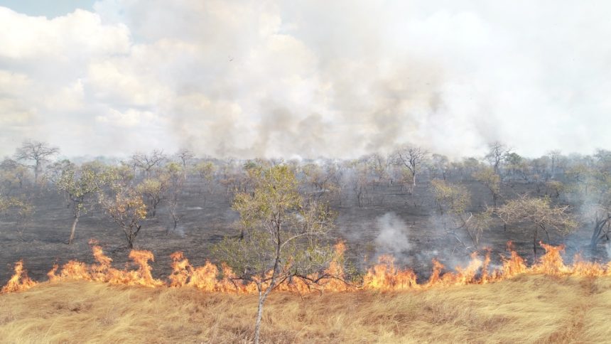 Sofala: Incêndio provoca explosão de engenhos militares em Inhamízua