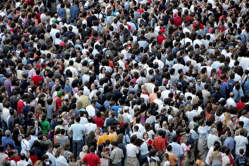 População mundial será de 8,09 mil milhões no dia de Ano Novo