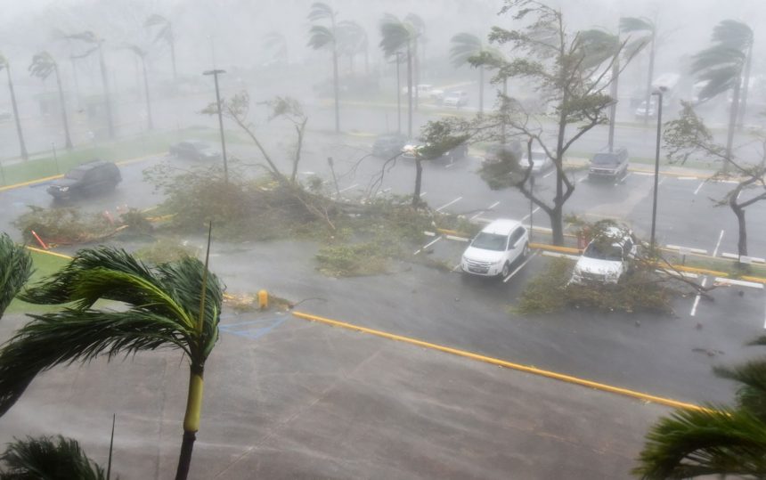 Recuperação pós ciclones: Cerca de 900 milhões de meticais de linha de crédito para sector privado