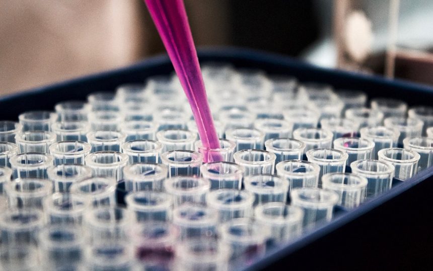 Oxford e AstraZeneca testam vacina contra variante da África do Sul