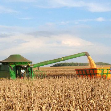 Filipe Nyusi considera que a produção de cereais impulsionou o sector agrícola