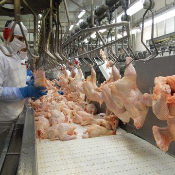 Moçambique atingiu 135 mil toneladas da produção de carne de frango