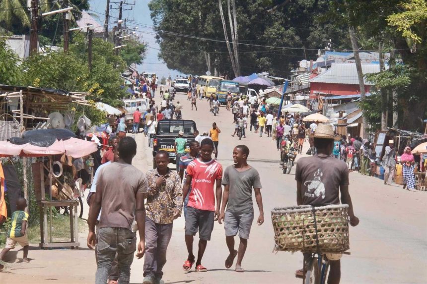 Empresários veem “perspectivas positivas” com avanços militares em Cabo Delgado