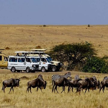 Restrições de viagens devido à nova variante da covid-19 estremecem turismo sul-africano