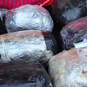 Polícia incinera mais de 180 quilos de drogas em Sofala
