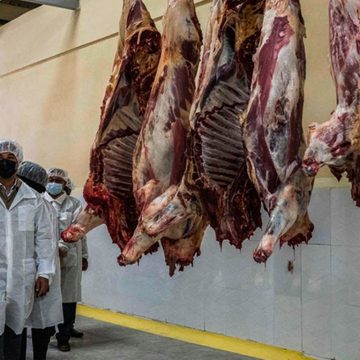 Inhambane aumenta capacidade de processamento de carne