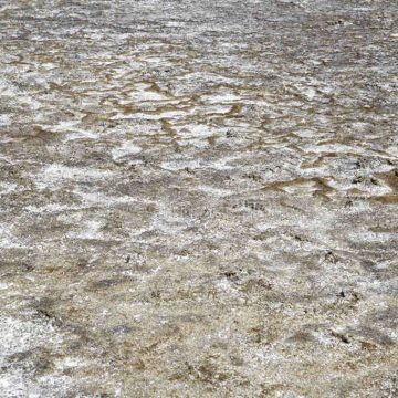 Mais de 1,5 milhões de hectares de solo contêm muito sal, afirma FAO
