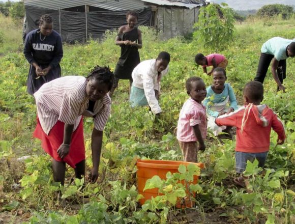 Manica: Autoridades recomendam venda consciente de produtos agrícola para evitar fome