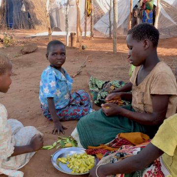 SETSAN: “Insegurança alimentar ameaça mais de três milhões de pessoas em Moçambique”