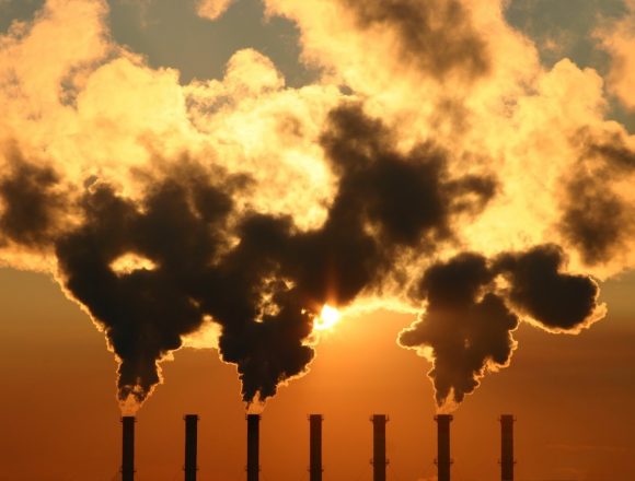 Indústria petrolífera deve estabelecer objectivos em matéria de carbono na COP28, afirma o CEO da TotalEnergies