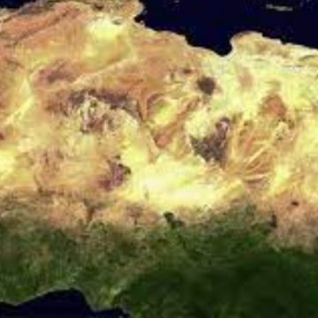 Grande Muralha Verde da África traz retorno para investidores, afirma FAO