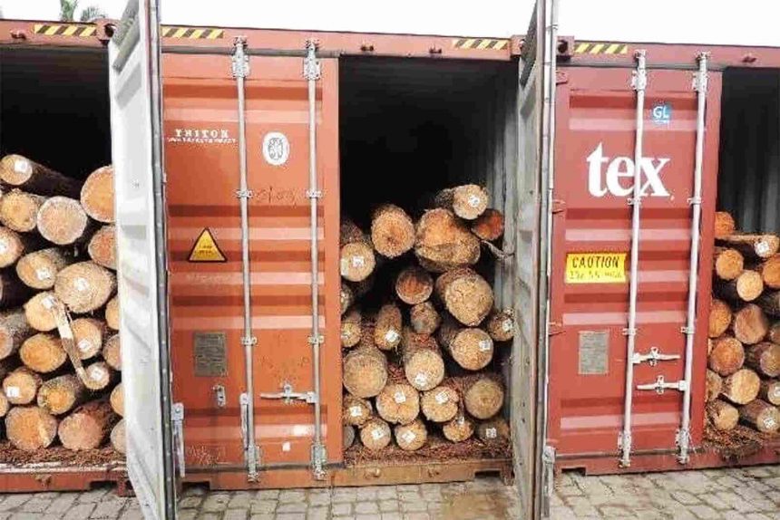 Grupo dinamarquês Maersk transportou toneladas de madeira ilegal de Moçambique para a China
