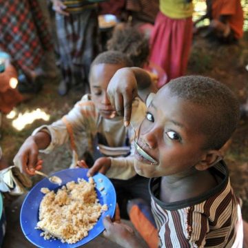 Alimento desperdiçado poderia safar da fome 1,26 mil milhões de pessoas