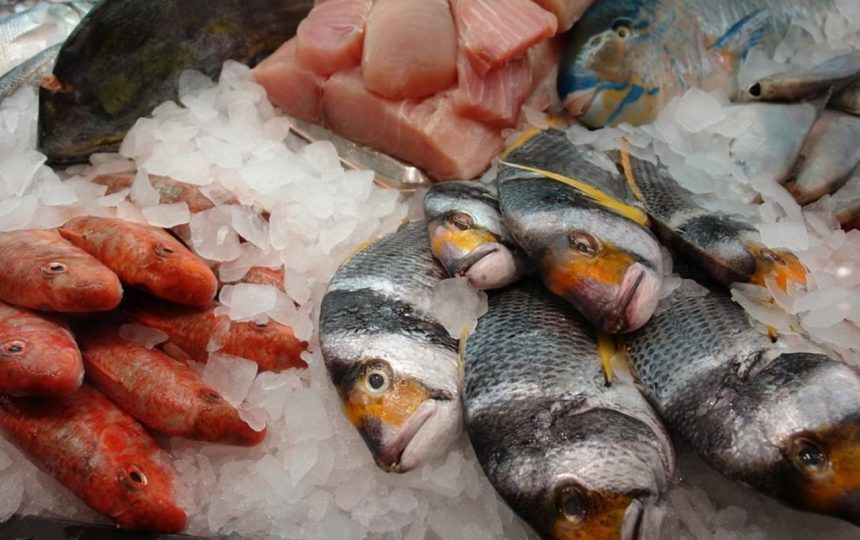 Moçambique factura USD 35 milhões com a exportação de pescado em 2021