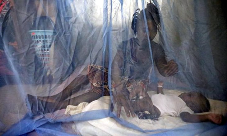 Moçambique registou 210 óbitos devido à malária no primeiro semestre deste ano