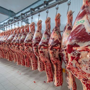 Botsuana suspende exportação de carne bovina devido à febre aftosa