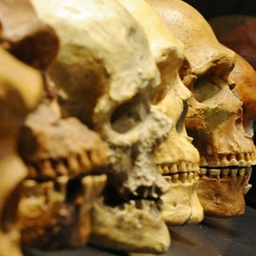 Moçambique é alvo de expedição milionária sobre migrações de Homo Sapiens, há 70 mil anos