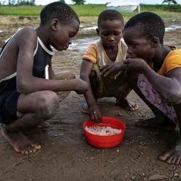 África. BAD com o plano de 1,5 milhões de dólares para evitar crise alimentar