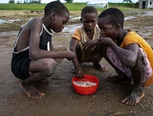 África. BAD com o plano de 1,5 milhões de dólares para evitar crise alimentar