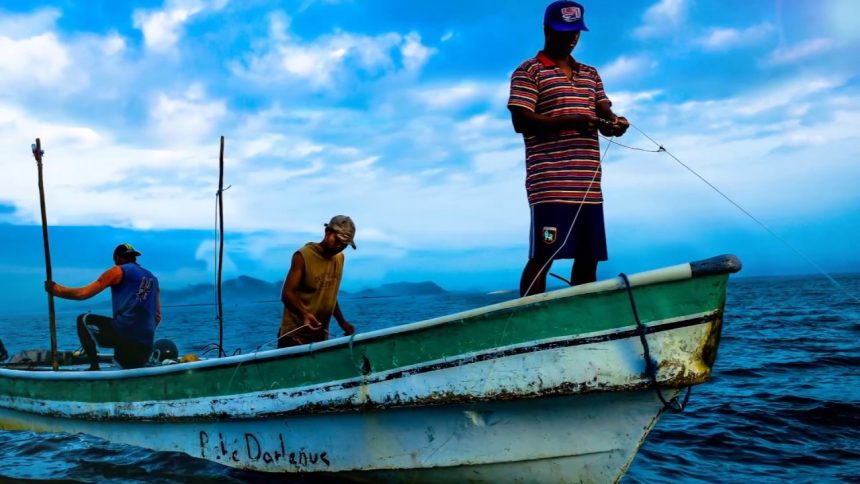 Ministra do Mar Defende Meios Mais Sofisticados Para Travar Pesca Ilegal no país