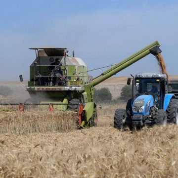 Ucrânia quer exportar cereais para Moçambique