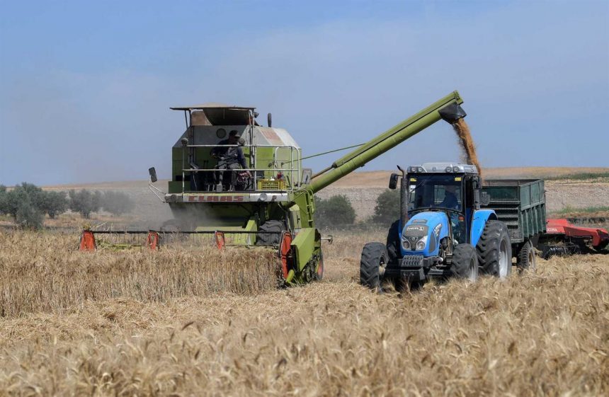 Ucrânia quer exportar cereais para Moçambique