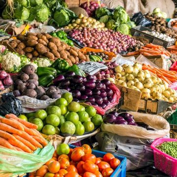 Zambézia divulga potencialidades agrícolas para a comercialização