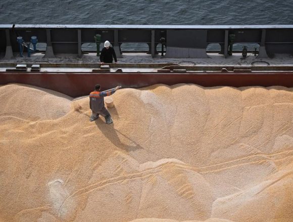 “Primeiro” carregamento de cereais ucranianos a caminho de África