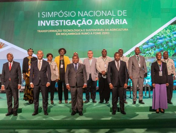 Moçambique aposta na produção de trigo