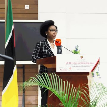 Beatriz Buchili alerta para construções desordenadas em Maputo que perigam o ambiente