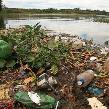 Dados revelam altos níveis de degradação dos rios em todo o mundo