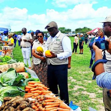Província de Maputo registou perda de 20 mil hectares de culturas na campanha agrária 2021/22